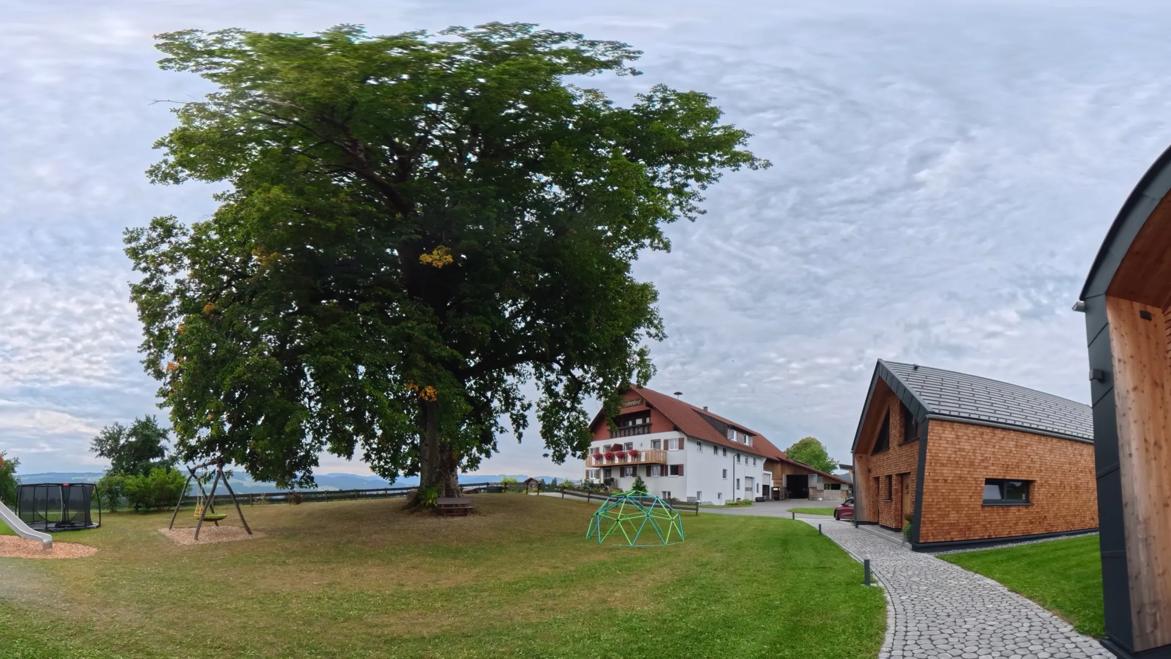 Große Linde und Spielplatz am Lindenhof Briegel